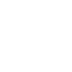 Landline Phone